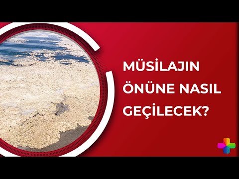 Marmara Denizi'nde yaşanan