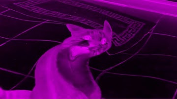 (REUPLOADED) Shortest Video on YouTube Effects (Preview 2MABAL Effects)