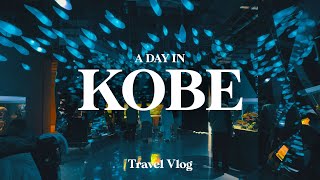 Is This Japan's Best Aquarium? KOBE Japan