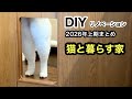 【猫も人も最高に楽しい住まい】DIYリノベーション｜2026年上期まとめ｜猫に喜んでほしくてドアも洗面室も猫仕様に作り替えました