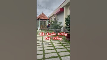 Dịch vụ chăm sóc sân vườn, xịt thuốc bón phân,.. dọn dẹp vệ sinh sân vườn, cắt cây cắt cỏ, chăm hoa