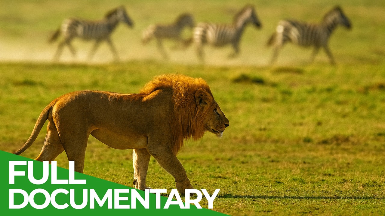 Wild Instinct - Fear on the Savannah