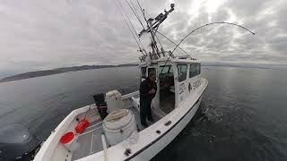 No crew! No problem! Solo Commercial Rock fishing