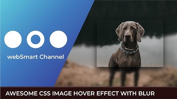CSS Tutorial Tricks | CSS IMAGE HOVER EFFECT WITH BLUR | CSS 2020
