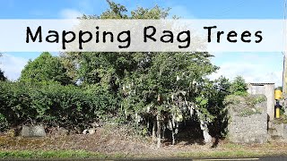 Mapping Rag Trees on OpenStreetMap