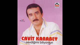 Cavit Karabey - Bir Alemsin 1988 Resimi