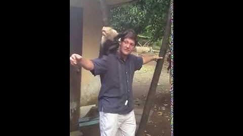 Digital Marketing for Exporters: Advice for Testing Out Target Markets