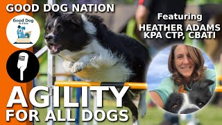 [AGILITY] Agility For All Dogs, Including Ones With Behavior Problems | Good Dog Nation Ep #7 (2019) by Good Dog in a Box 103 views 4 years ago 36 minutes