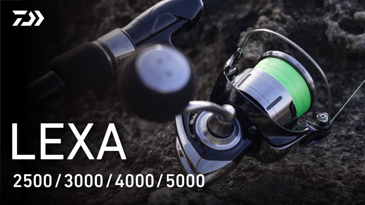 Daiwa 23 Lexa LT fishing reels