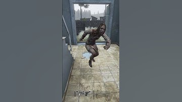 WHO NEEDS TEAMMATES WHEN YOU HAVE ZOMBIES ? - DayZ