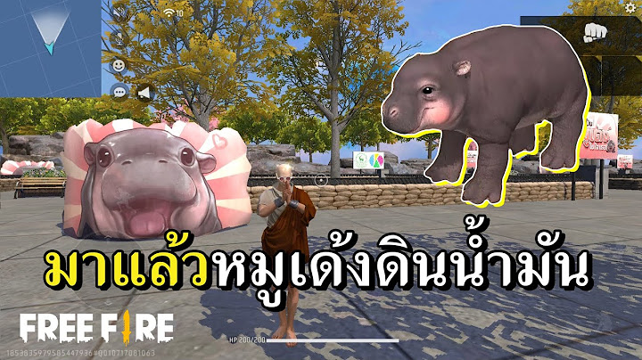 หมูเด้งจักรวาลฟีฟาย