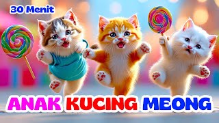 Download Lagu Anak Kucing Meong Meong - Lagu Anak Indonesia Populer - Si Meong Kucing Lucu 30 Menit MP3 Download Lagu Anak Kucing Meong Meong - Lagu Anak Indonesia Populer - Si Meong Kucing Lucu 30 Menit MP3