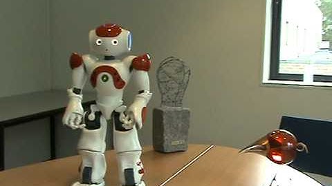 Nao sits down and gets up again