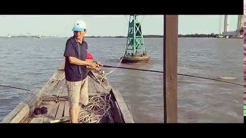 Câu cá giải trí, lên cá Úc mõi tay | Ôn lại kỷ niệm cùng Thầy | Sông Nước Cần Giờ - Châu Huỳnh.