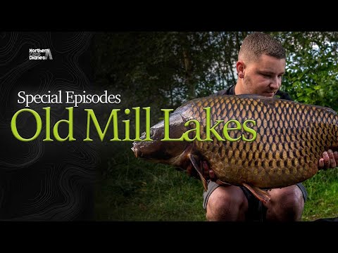 Northern Carp Diaries - Carp Fishing at Old Mill Lakes - 2020