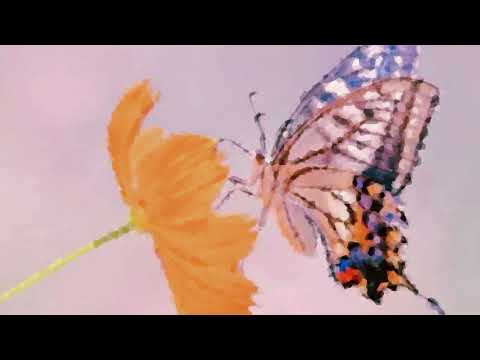 【女性原キー】アゲハ蝶(Swallowtail butterfly) / ポルノグラフィティ(cover) - sh/no