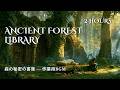 Ancient Forest Library 📚 2H | Ambient Music for Studying | Celtic Fantasy BGM