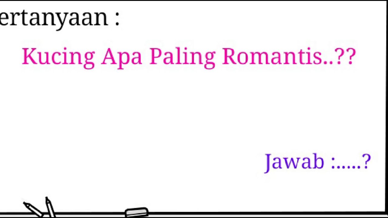 Kucing Paling Romantis YouTube