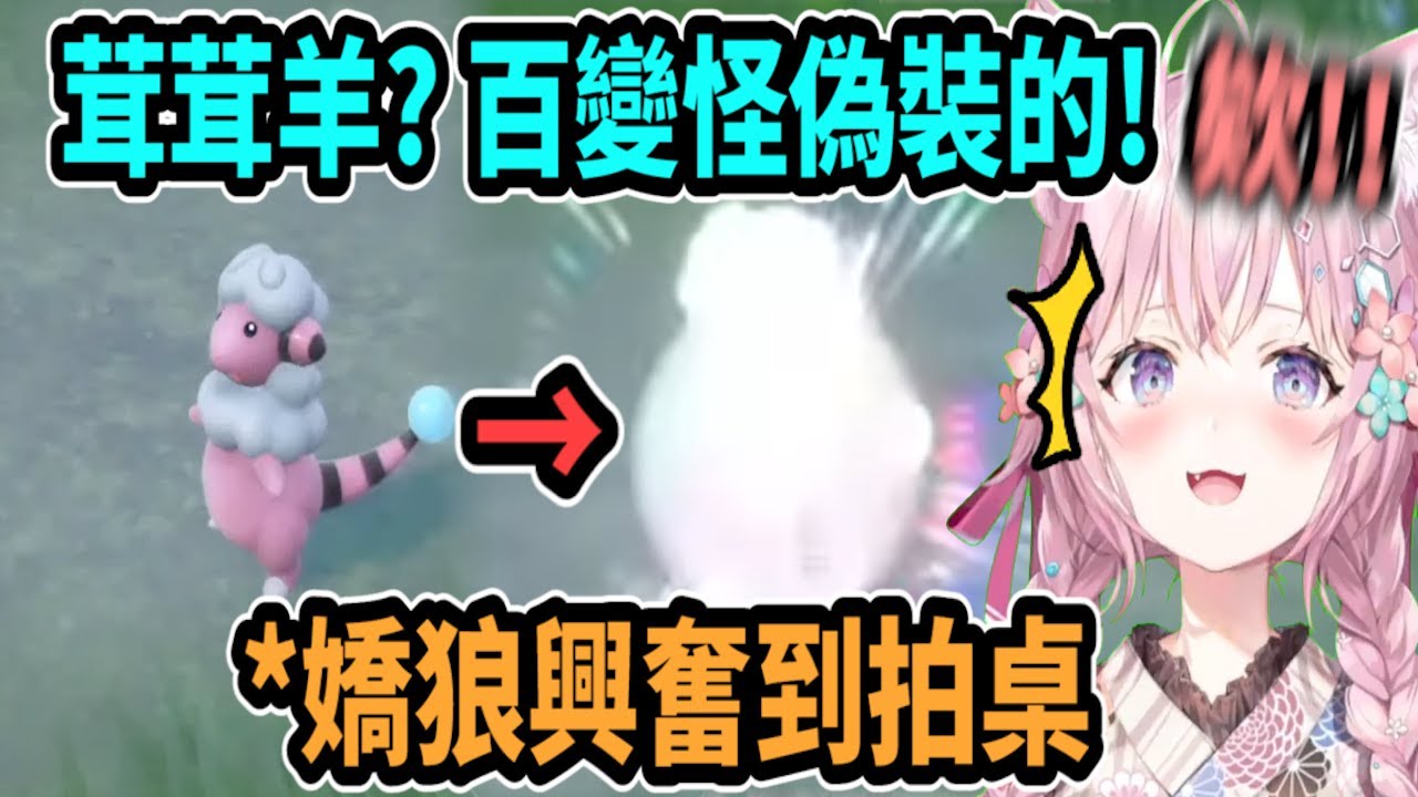 小夜璃走在路上巧遇茸茸羊(百變怪)..她興奮的反應真是太可愛了!【hololive中文】 【Vtuber精華】 【博衣こより】【holoX】【寶可夢朱／紫】