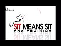 Training a Border Collie