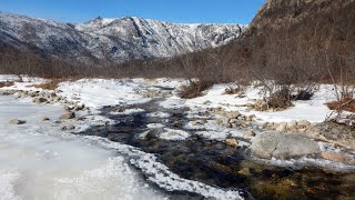В поисках уходящей зимы.  Пять дней в тайге. 22-26 марта 2024 года