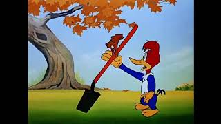 Merry Christmas Starring Woody Woodpecker And Friends