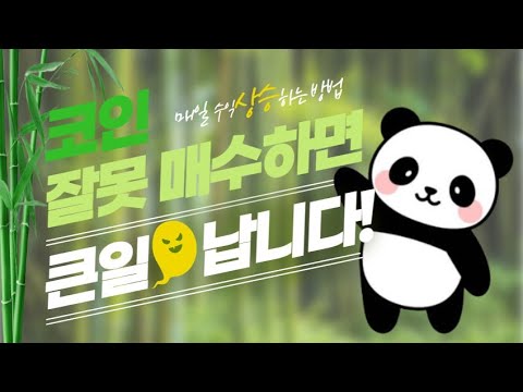🐼 하늘에서 내려온 판다가 알려주는 급등종목 🐼