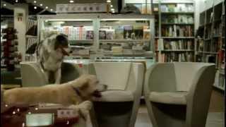 Anuncio FNAC Perros 1 - Young & Rubicam Madrid