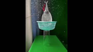 AMAZING SLOW MO #technology #techie #techworld #techlover #techgadget