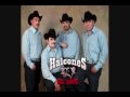 Brindis de Amor-Halcones del Norte