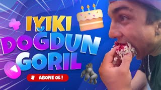 Bir gorilin doğum günü | @GorilFaruk Doğum günü sürprizi