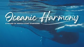 Oceanic Harmony: 8 Hours of Whale Song Symphony