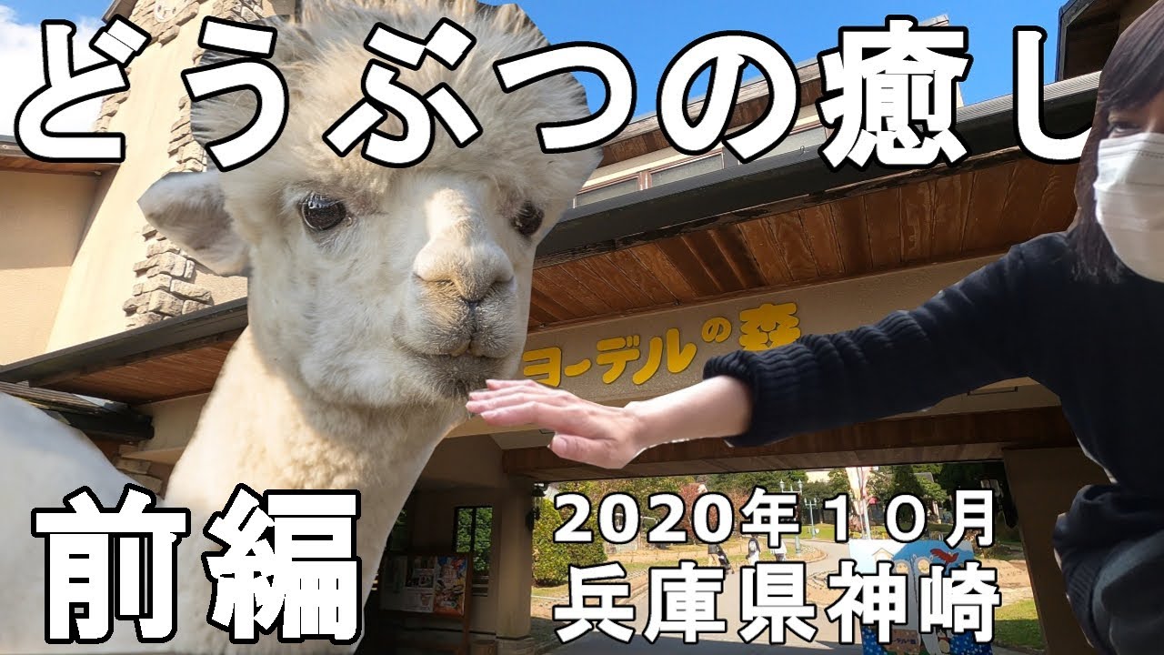 50代夫婦 楽しいはずの渋川動物公園で 恐怖の吊り橋で50代夫婦が喧嘩寸前に Youtube 50代夫婦 楽しいはずの渋川動物公園で 恐怖の吊り橋で50代夫婦が喧嘩寸前に Youtube