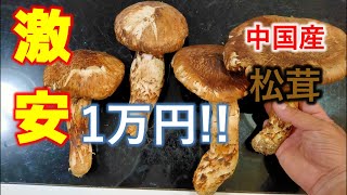 激安！中国産（1キロ1万円）の松茸を購入してみた！