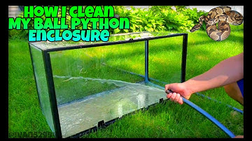How I Clean My Ball Python Tank (Ft. @Sosailair)