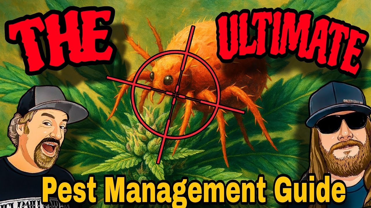 The 2025 Science: The Most Advanced Ways to Defend Your Cannabis Garden