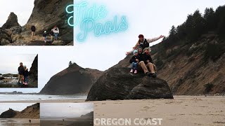 Tide Pools Oregon Coast