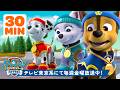 パウ・パトロール | パウ・パトロール、ゴールへダッシュ！#2 🏆🏁 | 30分 | テレビ東京系にて放送中