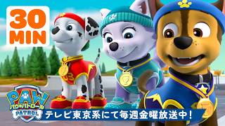 パウ・パトロール | パウ・パトロール、ゴールへダッシュ!#2 