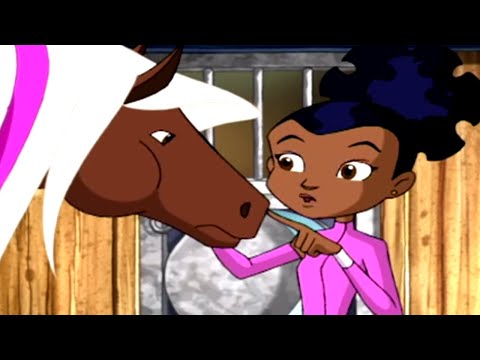 Vídeo: Aqui estão os cavalos da lição!