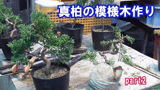 [虎様用盆栽]真柏/模様木其の五 虎様用盆栽]真柏/模様木其の五