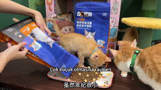 Evde Yeni Bir Üye Eklerken Nelere Dikkat Edilmelidir?