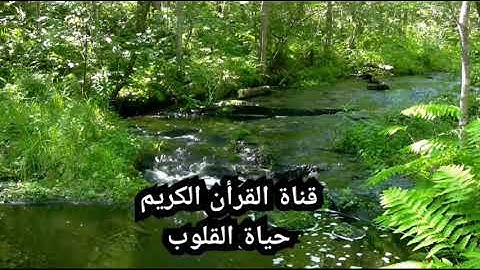 تلاوة في غاية الابداع والاتقان للقارئ عبد الرحيم اسكور ما تيسرمن سورة التوبة