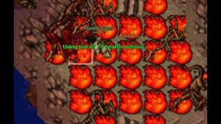 Hawlk Eyes Lvl 40 of Unitera solo Dragon Lord - Tibia
