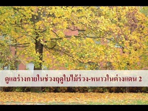 วีดีโอ: สิ่งที่ควรสวมใส่สำหรับผู้หญิงอายุ 30-40 ปีในฤดูใบไม้ร่วงและฤดูหนาวปี 2562-2563