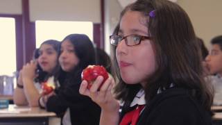 CPS El Programa de Comidas de Verano