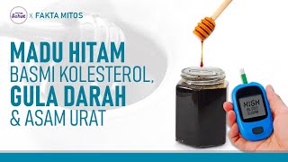 Lengkap! Kupas Tuntas Manfaat Madu Hitam, untuk kolesterol Hingga Asam Urat | Hidup Sehat tvOne