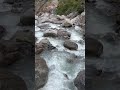 🫂🤝 #shortviral #shortsfeed #shorts #shortviral #riversounds #river
