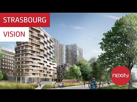 Découvrez Vision à Strasbourg !