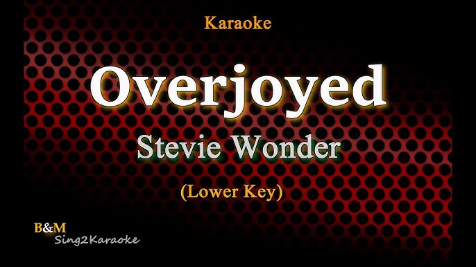 Isn't She Lovely - Stevie Wonder (Instrumental & Lyrics) 